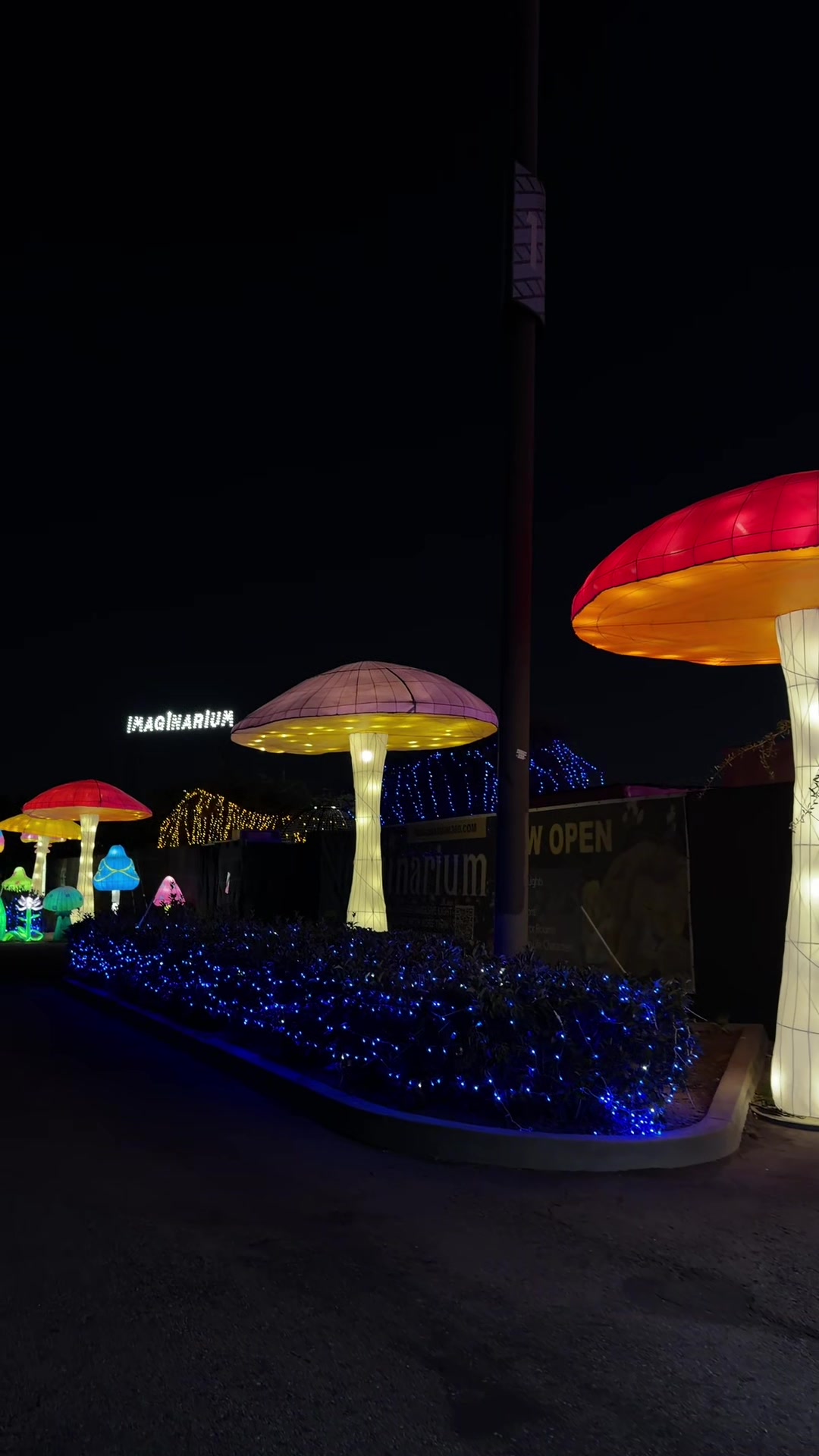 @sarah ximena <3