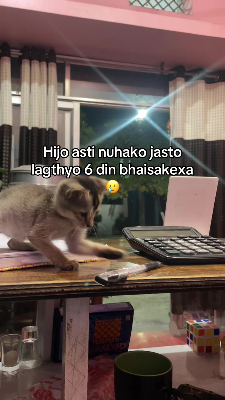 @々・SANJI