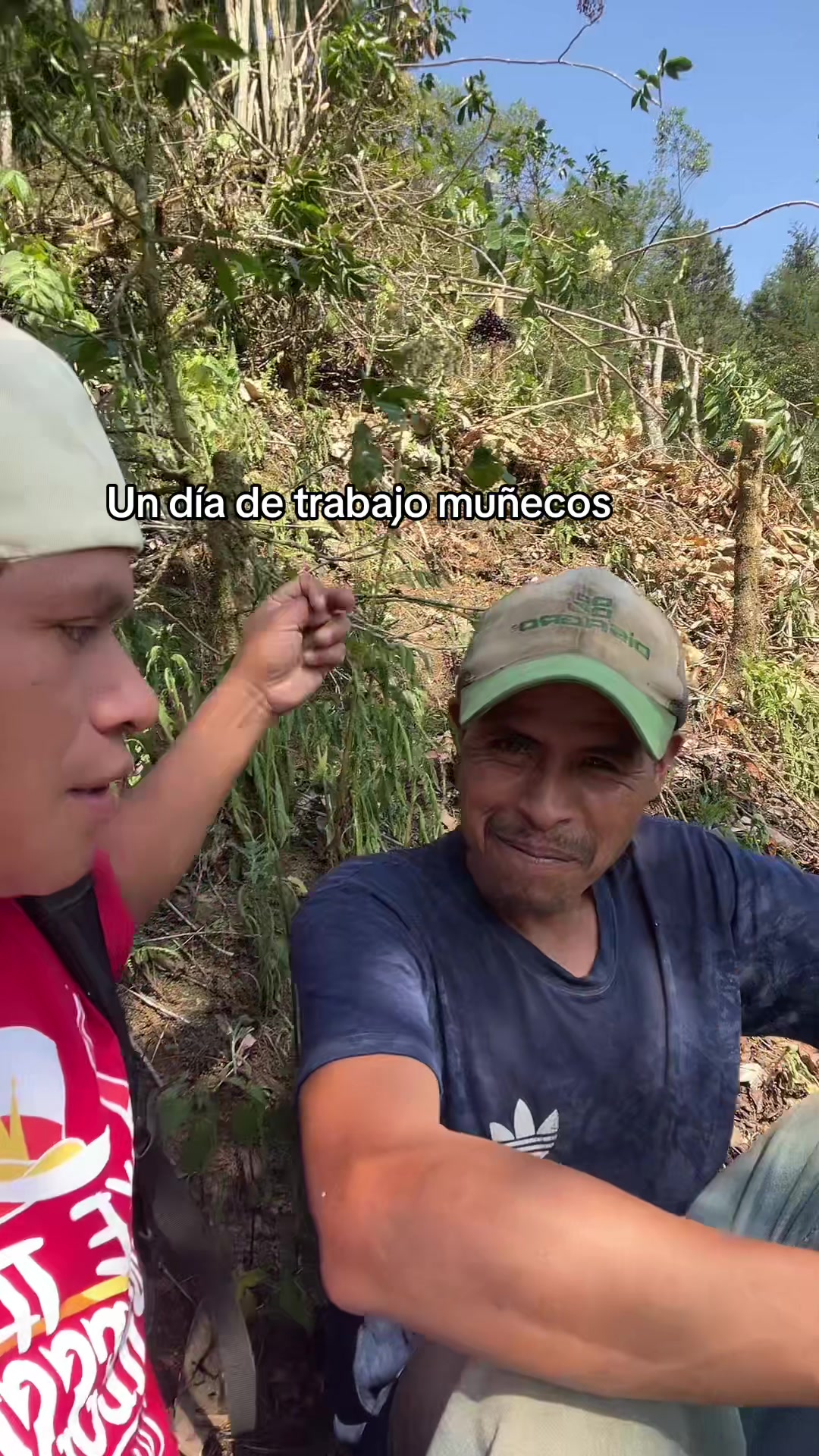 @marco
