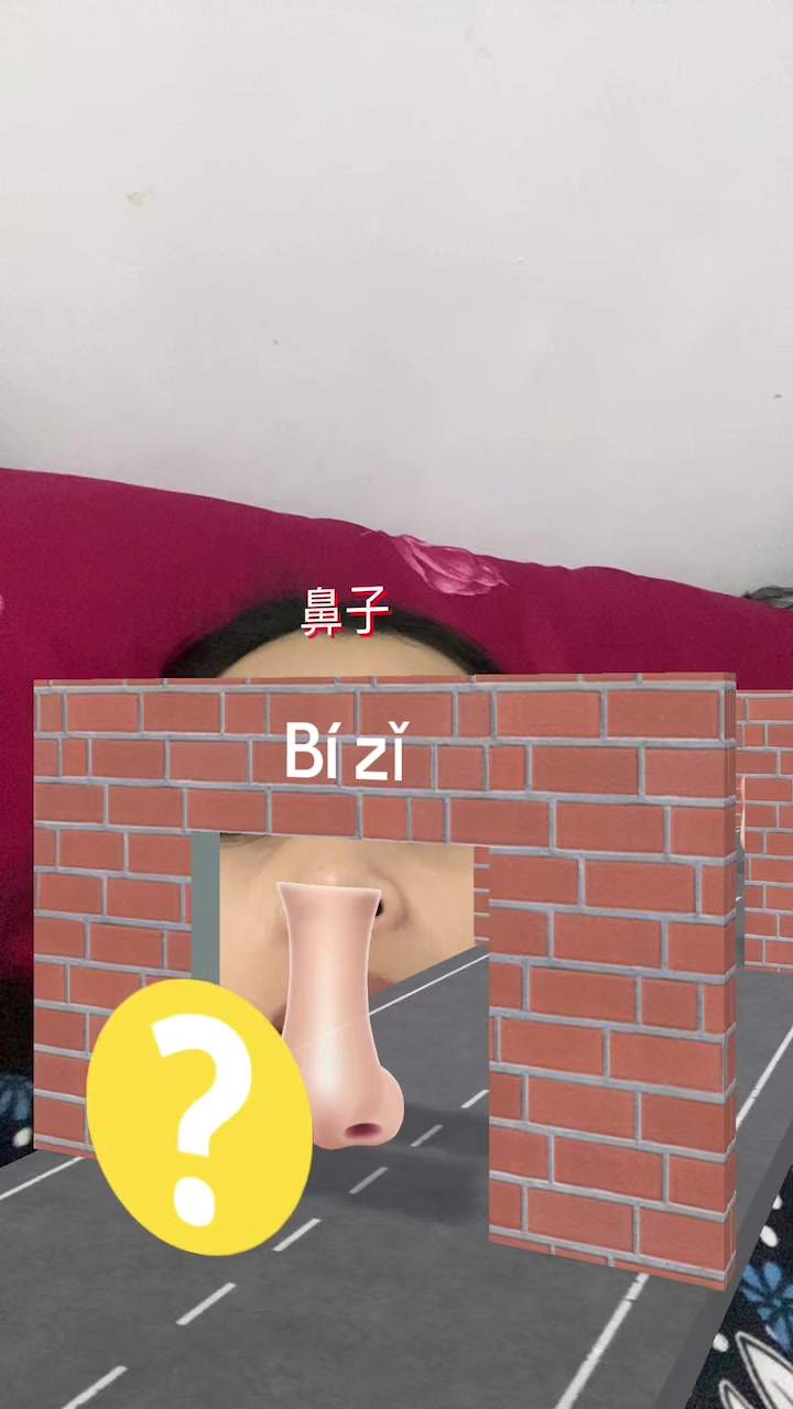 @icahais25