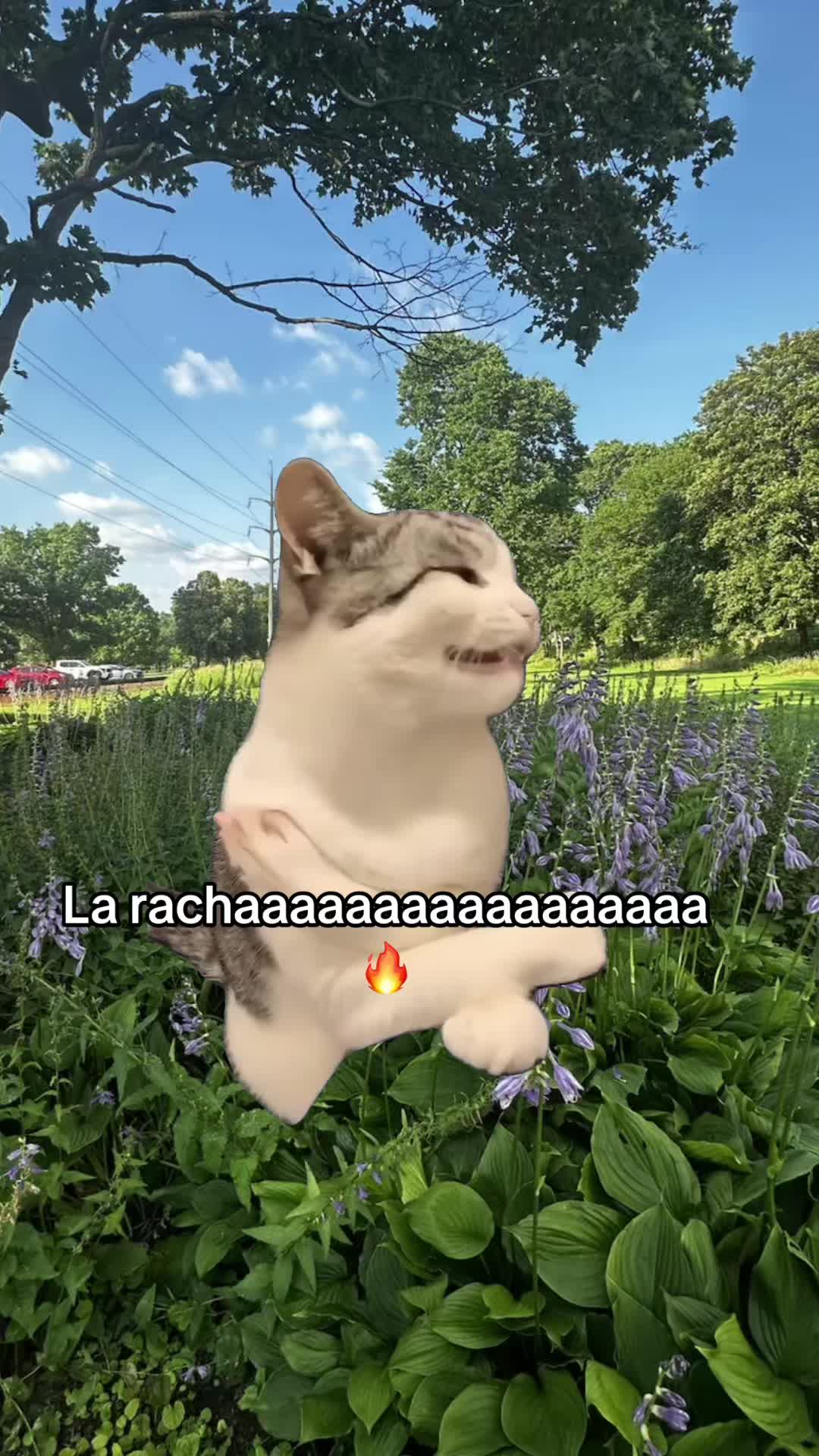 @🧃🍀🫀💋🦅LaTerrible69🌶️🇻🇪