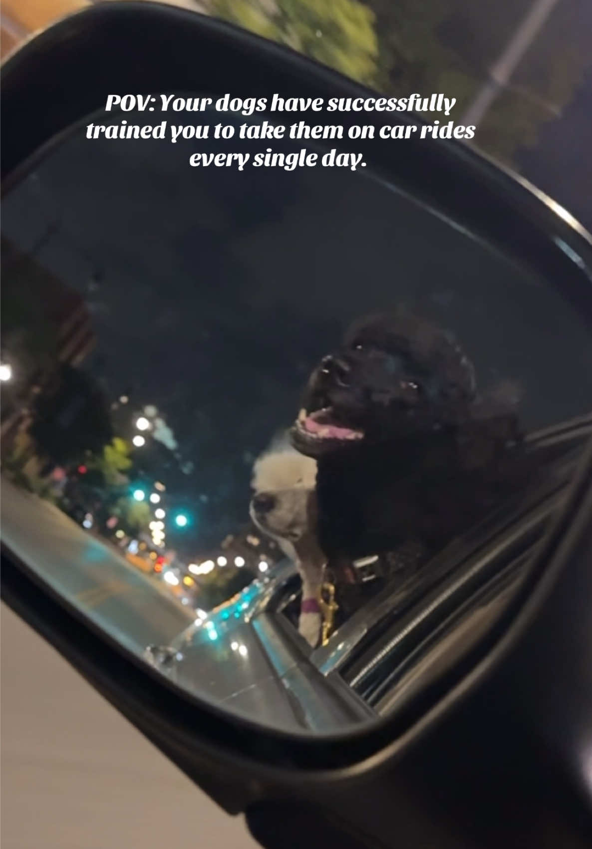 @packwalkdiaries