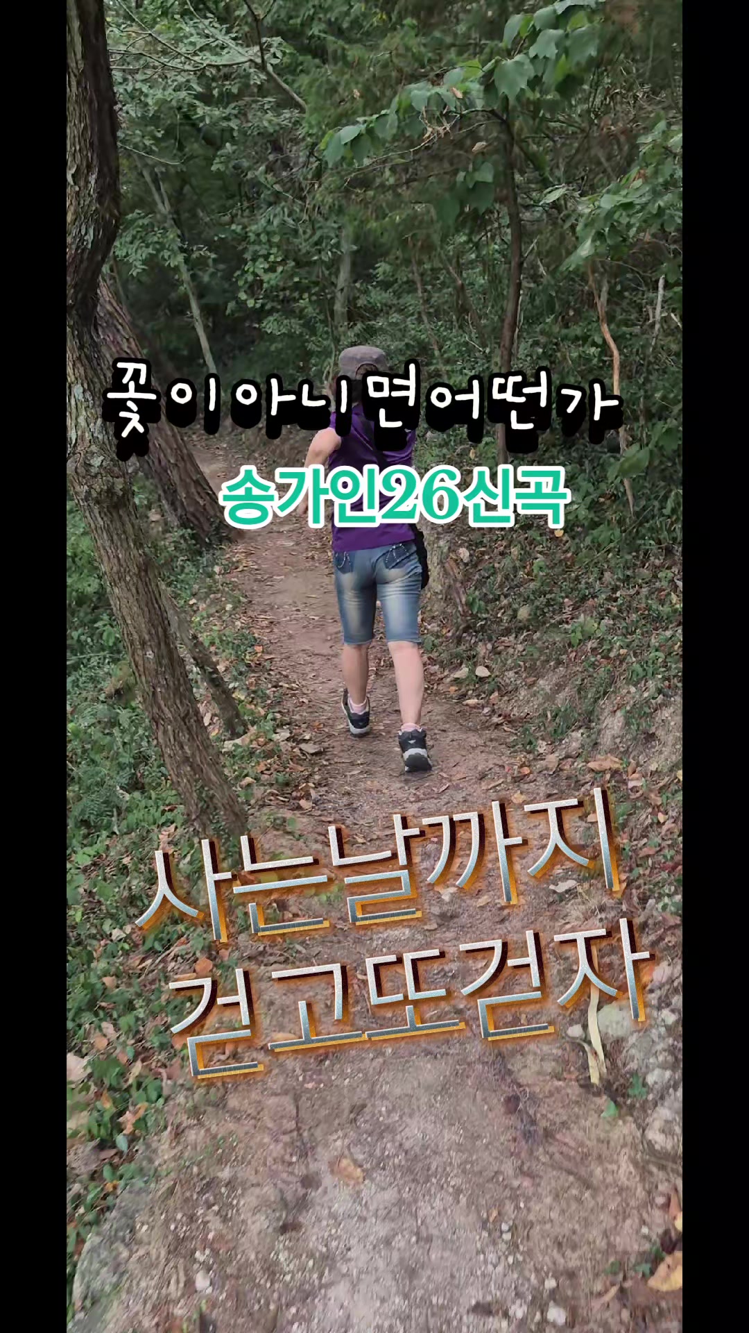 @금은희