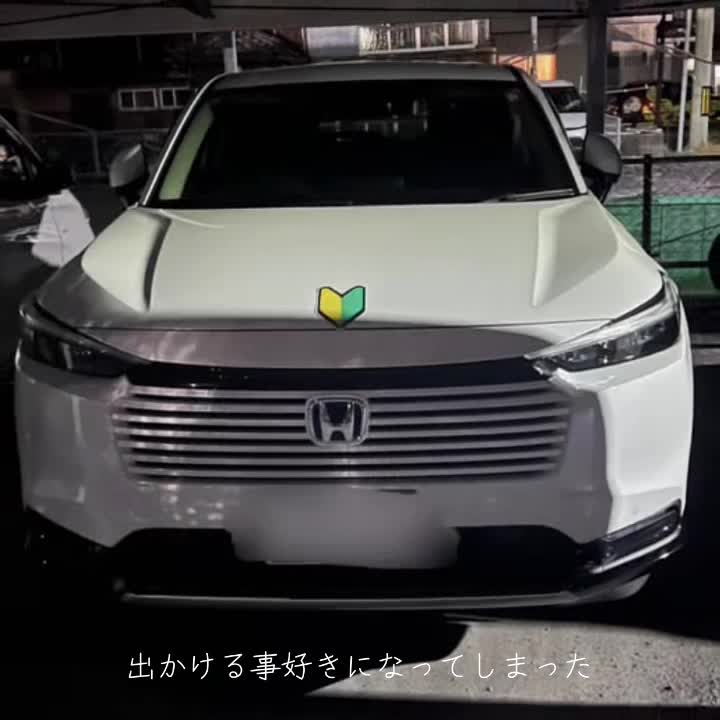 @tsyブルーベリー