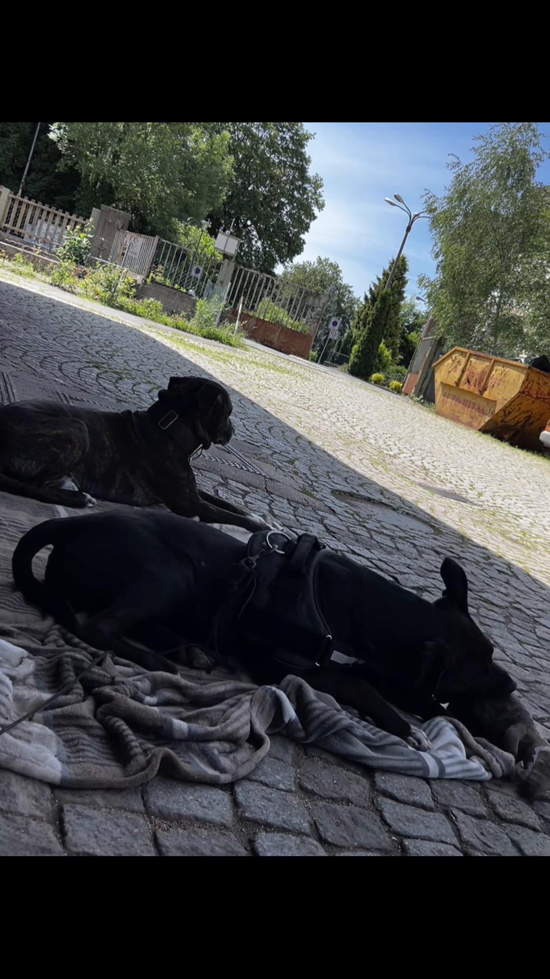 @Semi&lsquo;s Pilz 🍄mafiafuck🏴&zwj;☠️