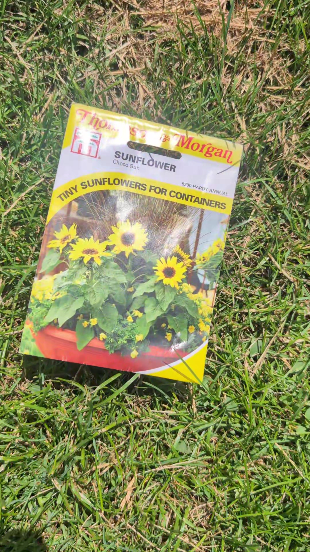 @Court Farm: Home & Garden