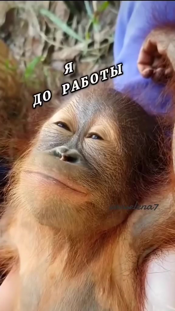 @tagtekstil