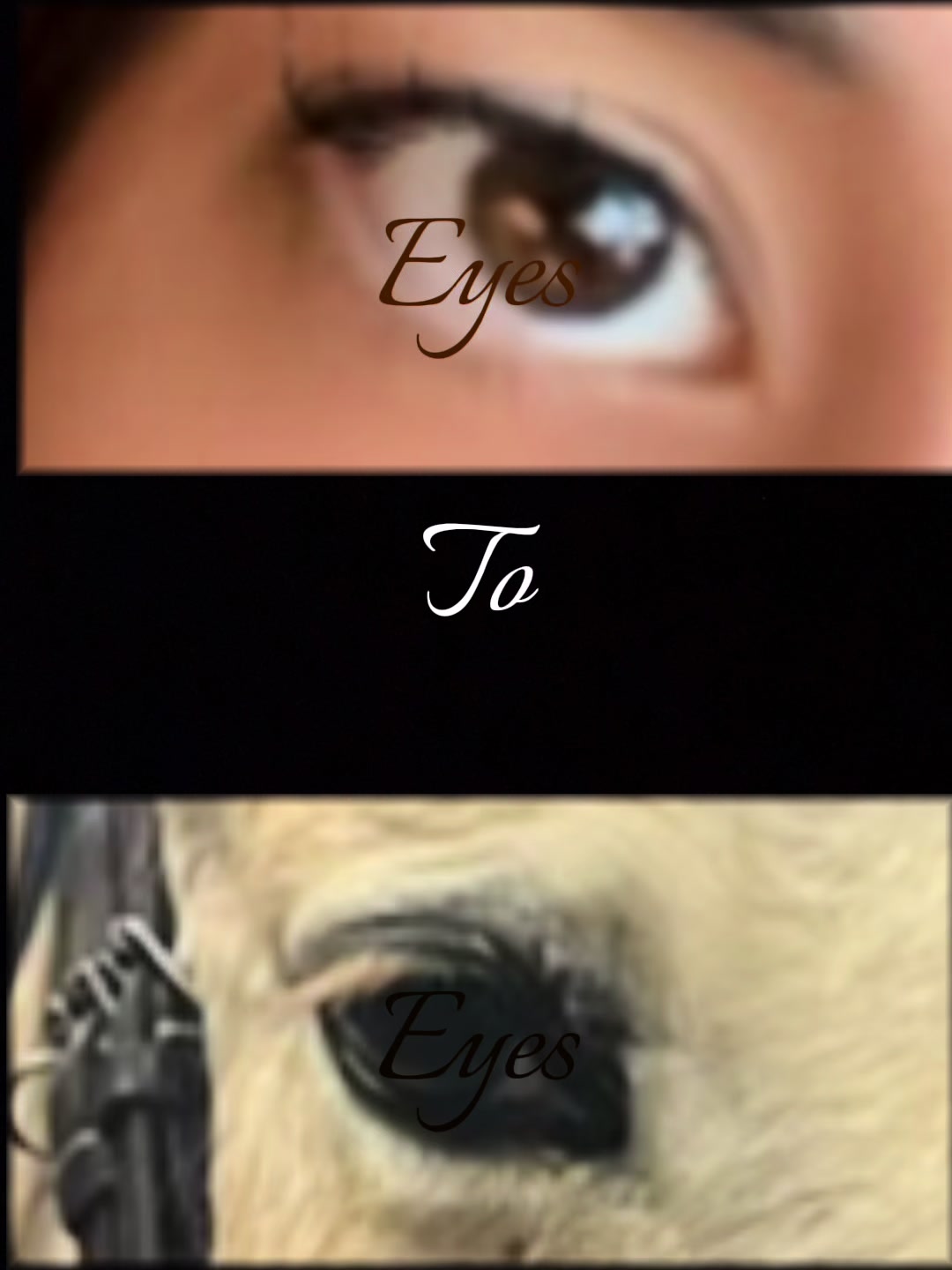 @꧁✯⚜️✯𝒜𝓊𝓇ℯ́𝓁𝒾ℯ✯⚜️✯꧂