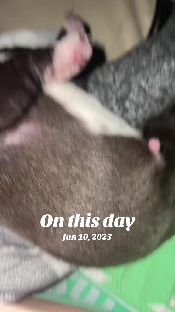 @V