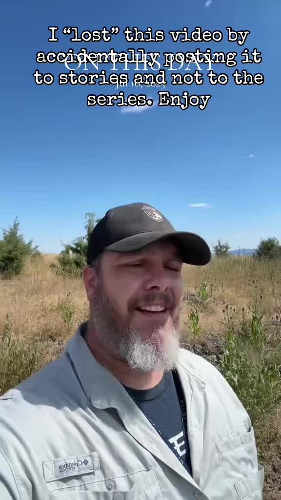 @Archaeowolf
