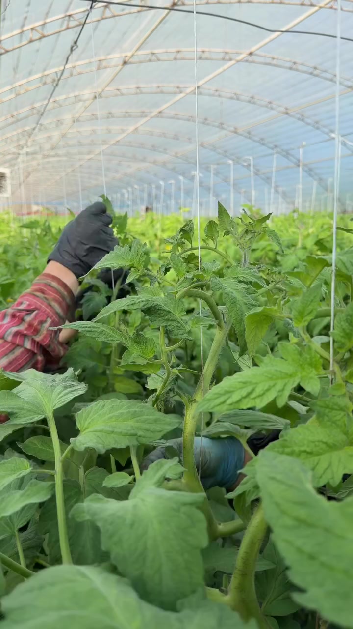 @Zortrax Agriculture Inc
