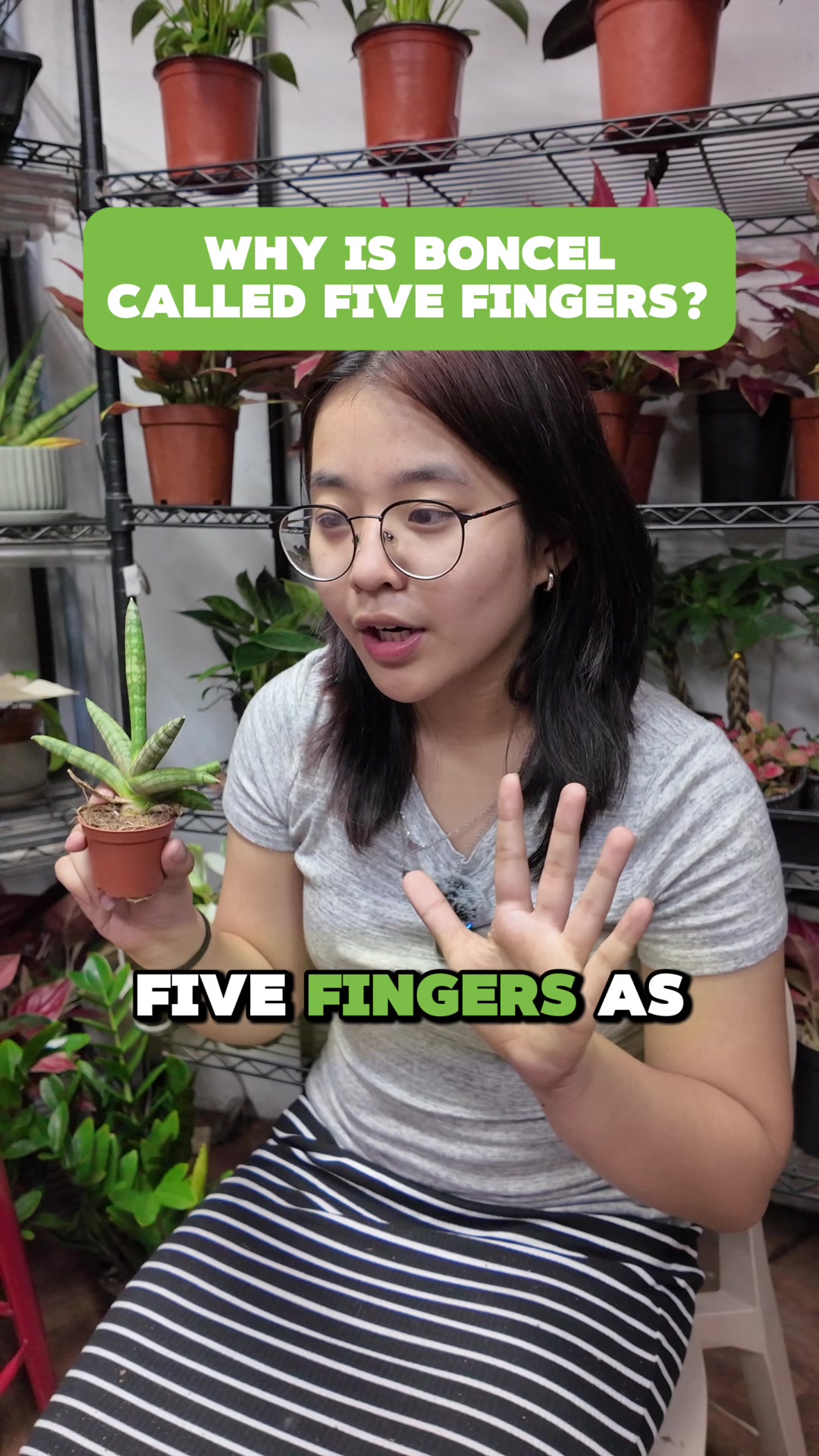 @PlantCulturePH