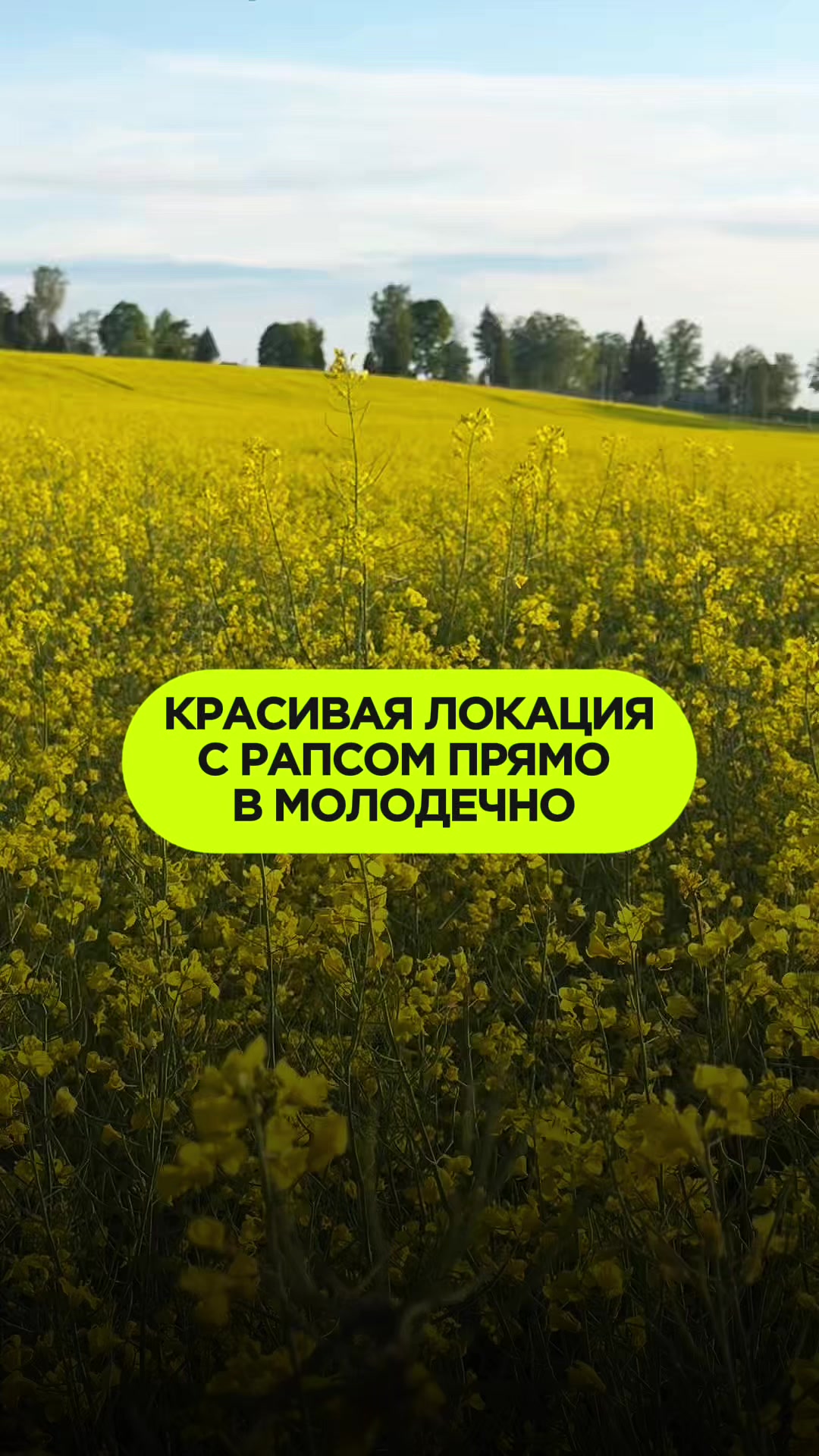 @molodechno.today