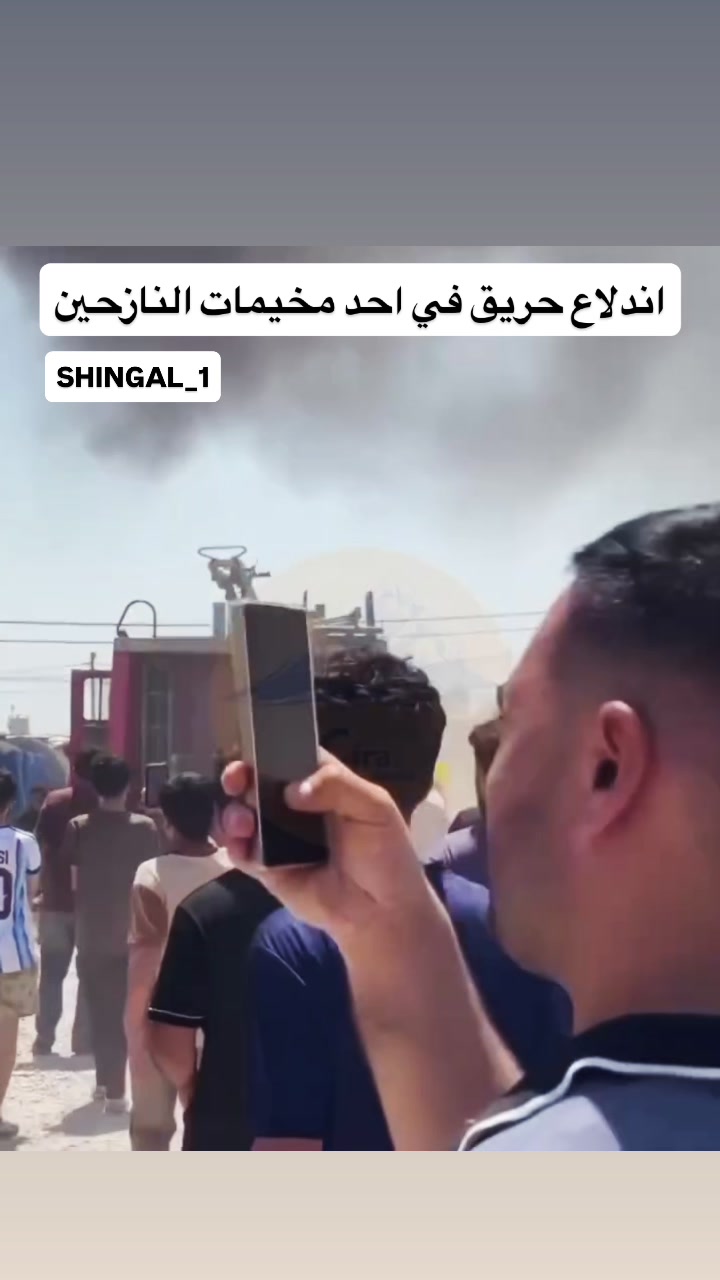 @shingal_1