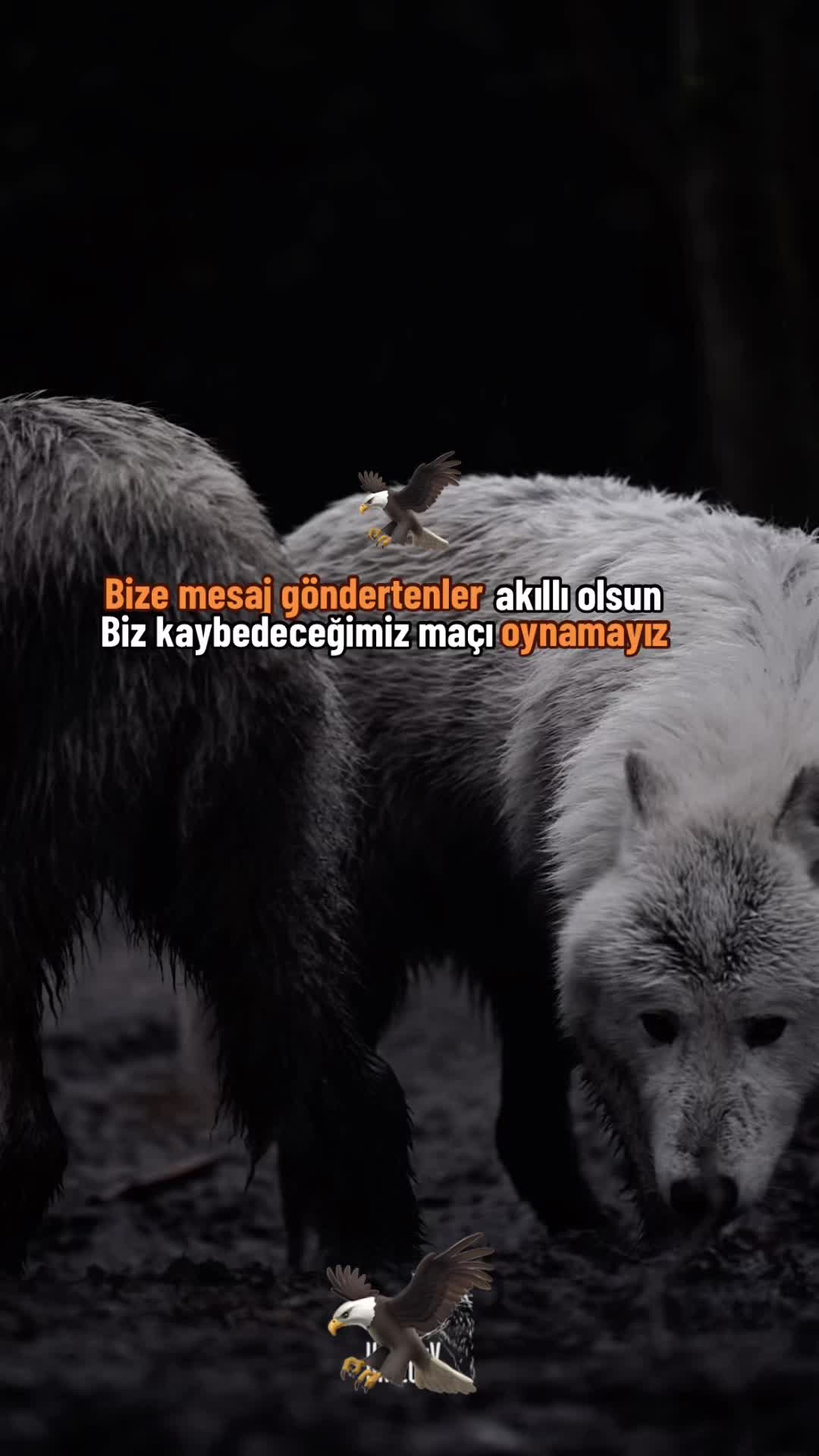@çılgın 🚴♂️🧿
