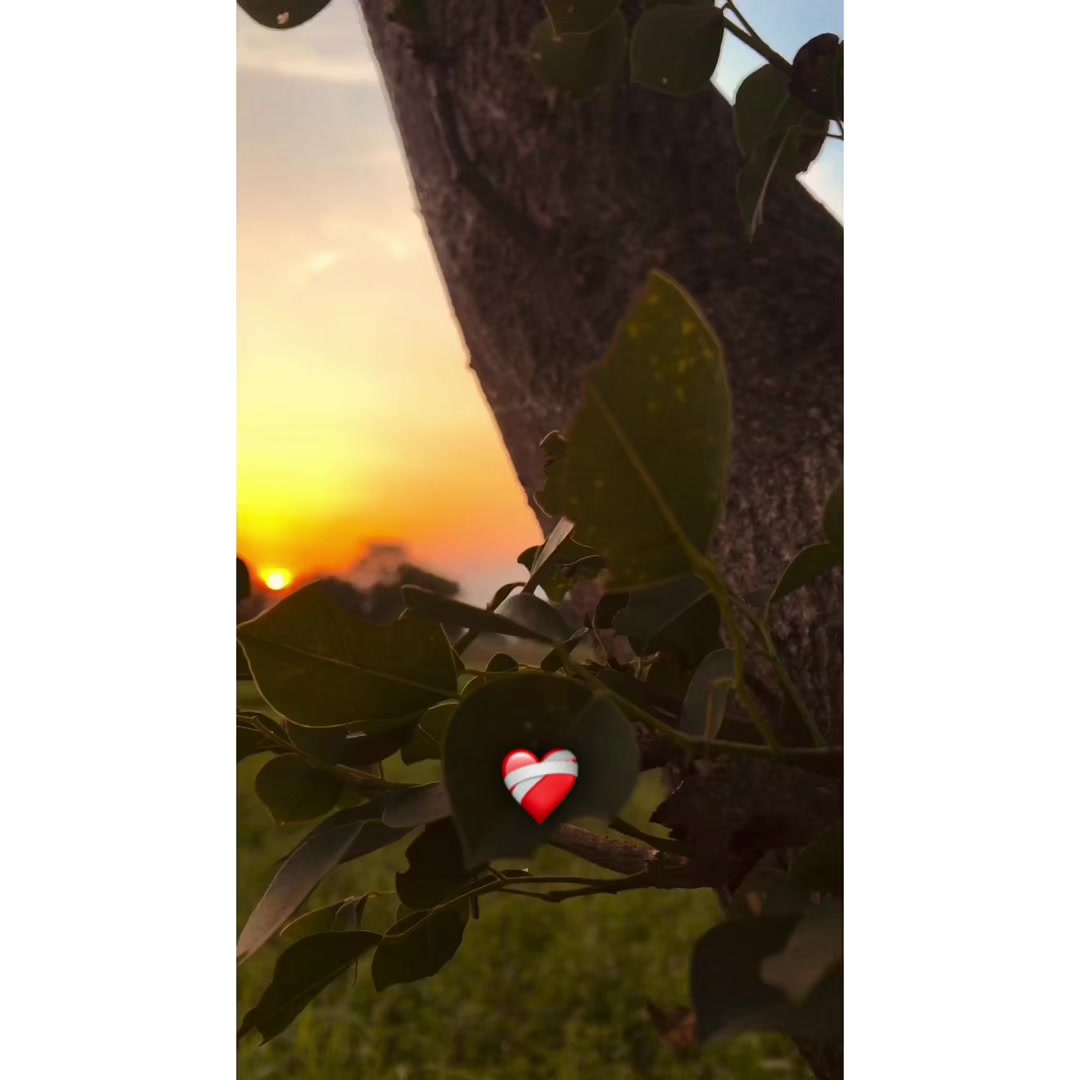 @𝐏𝐔𝐍𝕵𝐀𝐁👳🏻♂️🌾