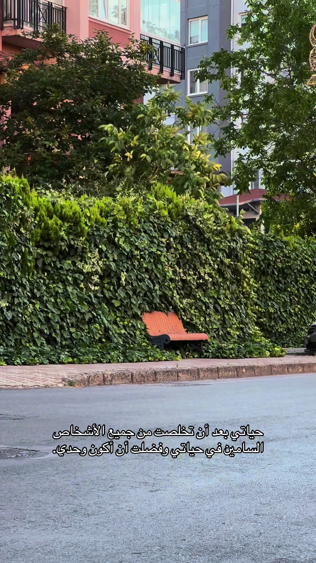 @𝒜𝓃𝑜𝑜𝒹  🦢.