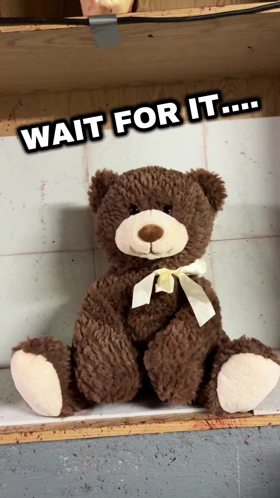 @quietroombears