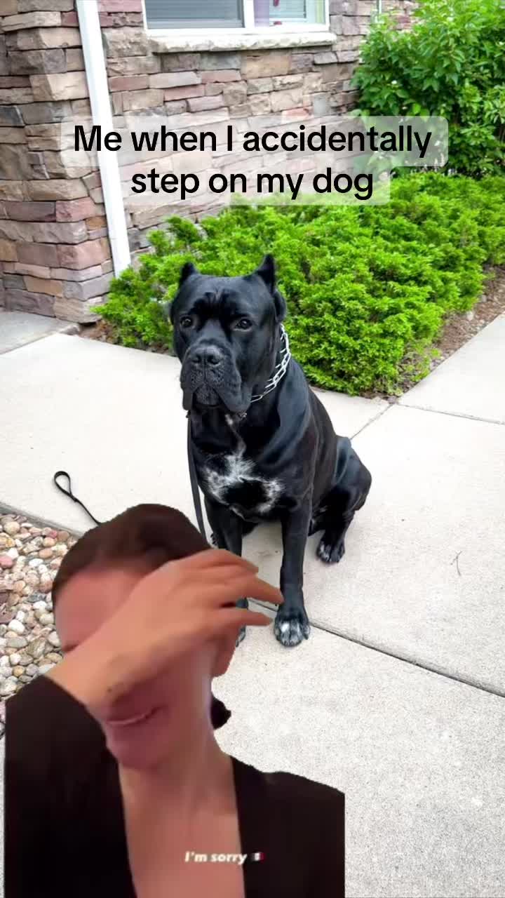 @Bentley Has Issues