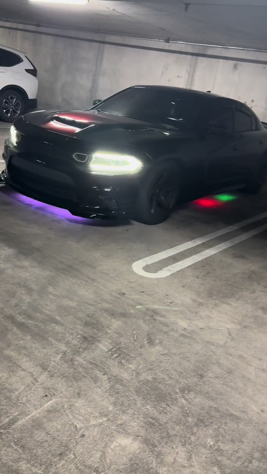 @papa_midnight_392