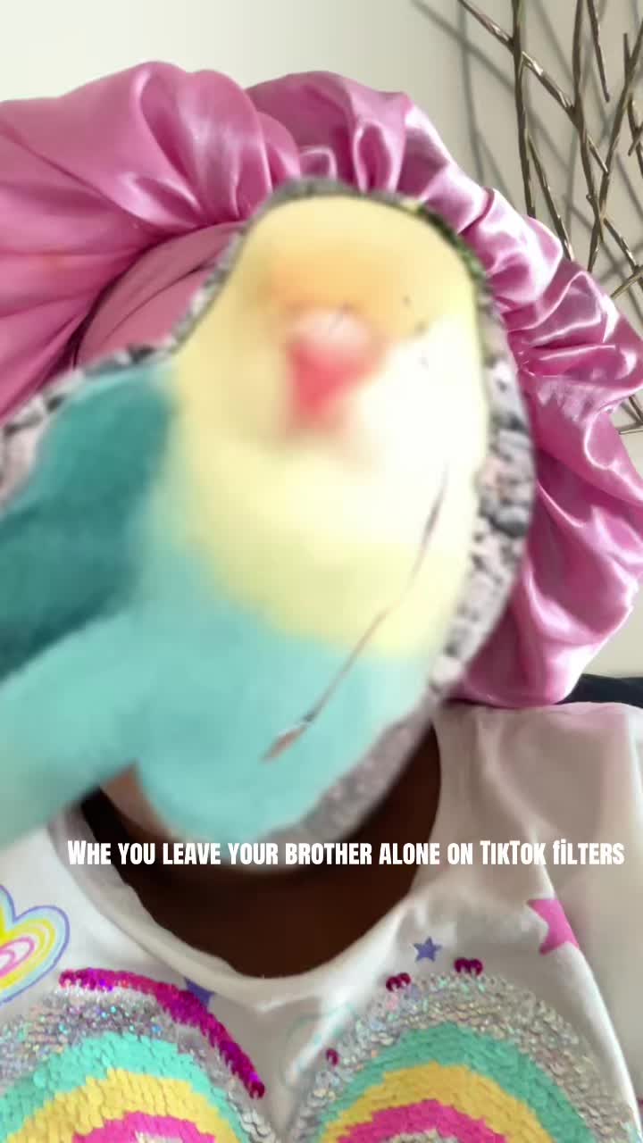 @Gemini