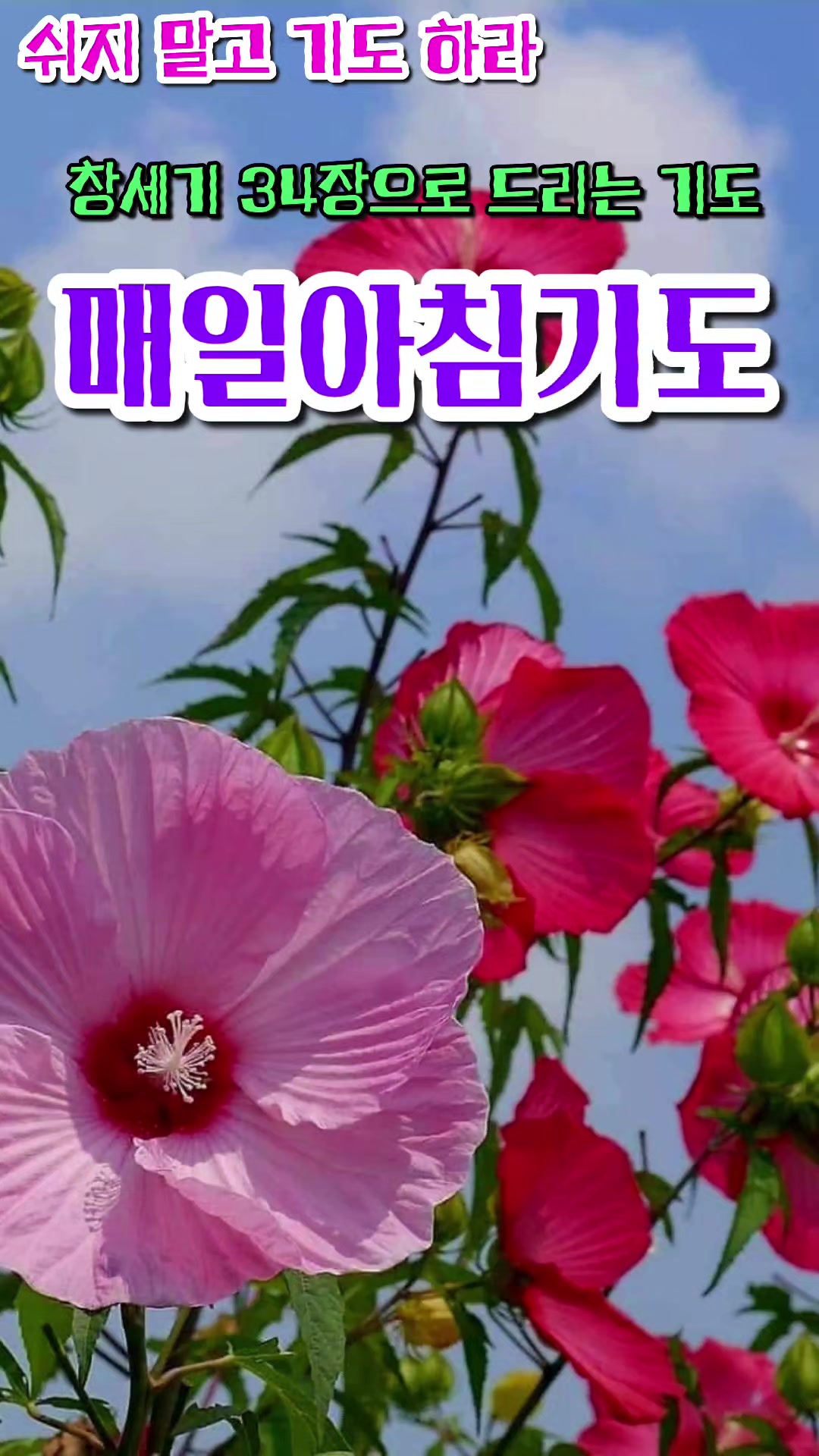 @피켓전도 김종일 목사