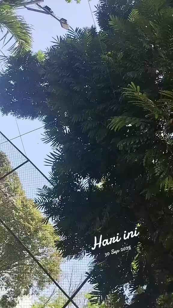 @Ontu08🤗