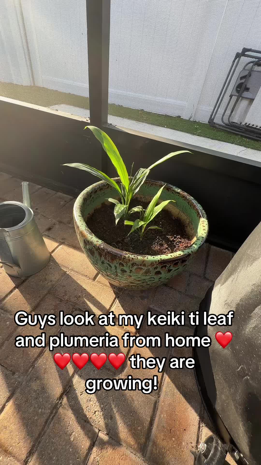 @lesleypsyd