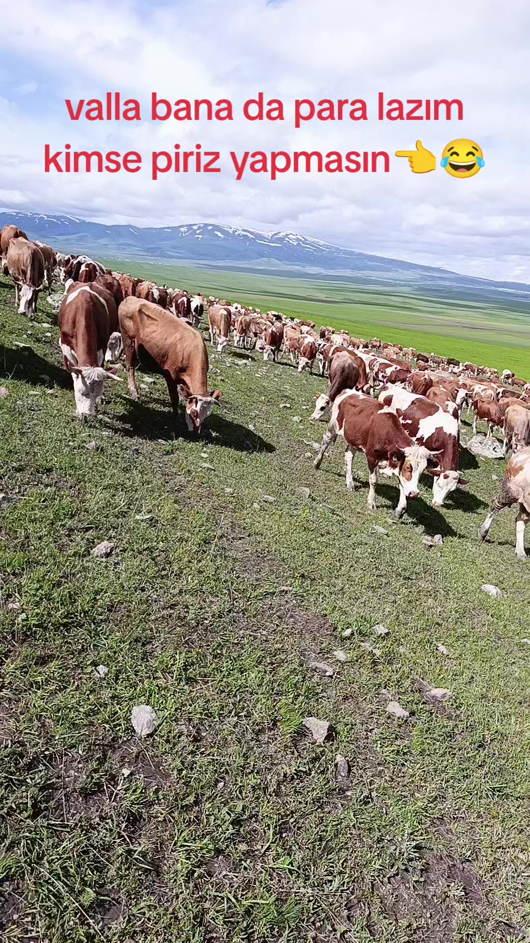 @FERHAT ÇUKU 76☀️