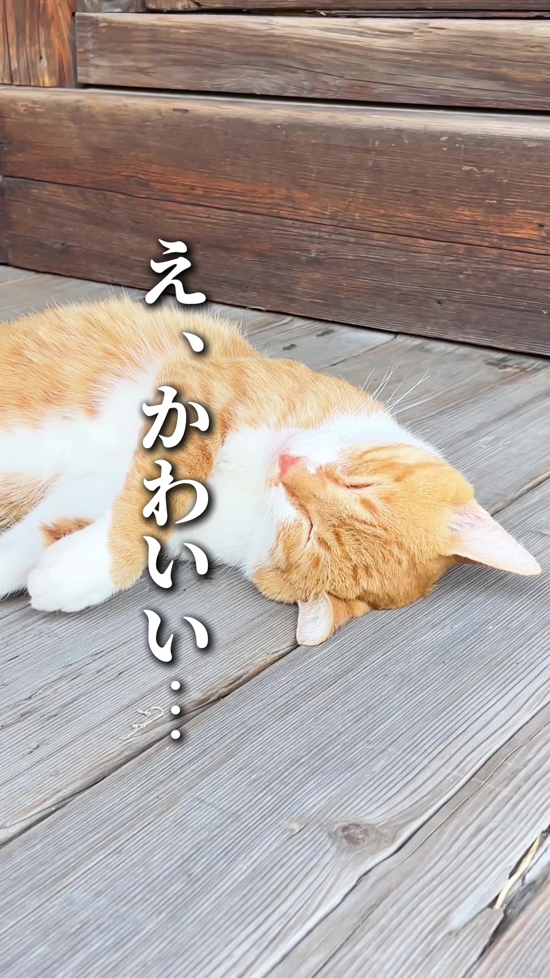 @しん|山形グルメ 観光