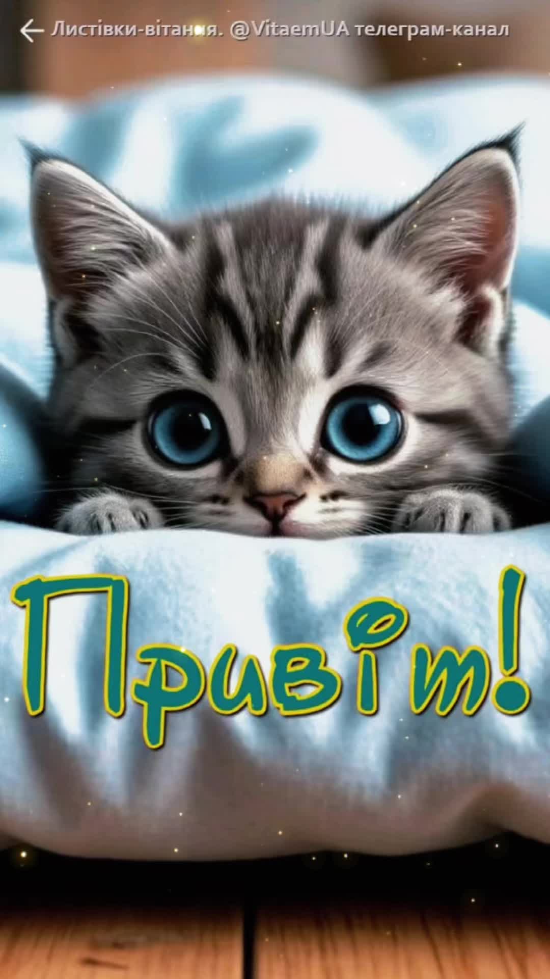 @Elena.