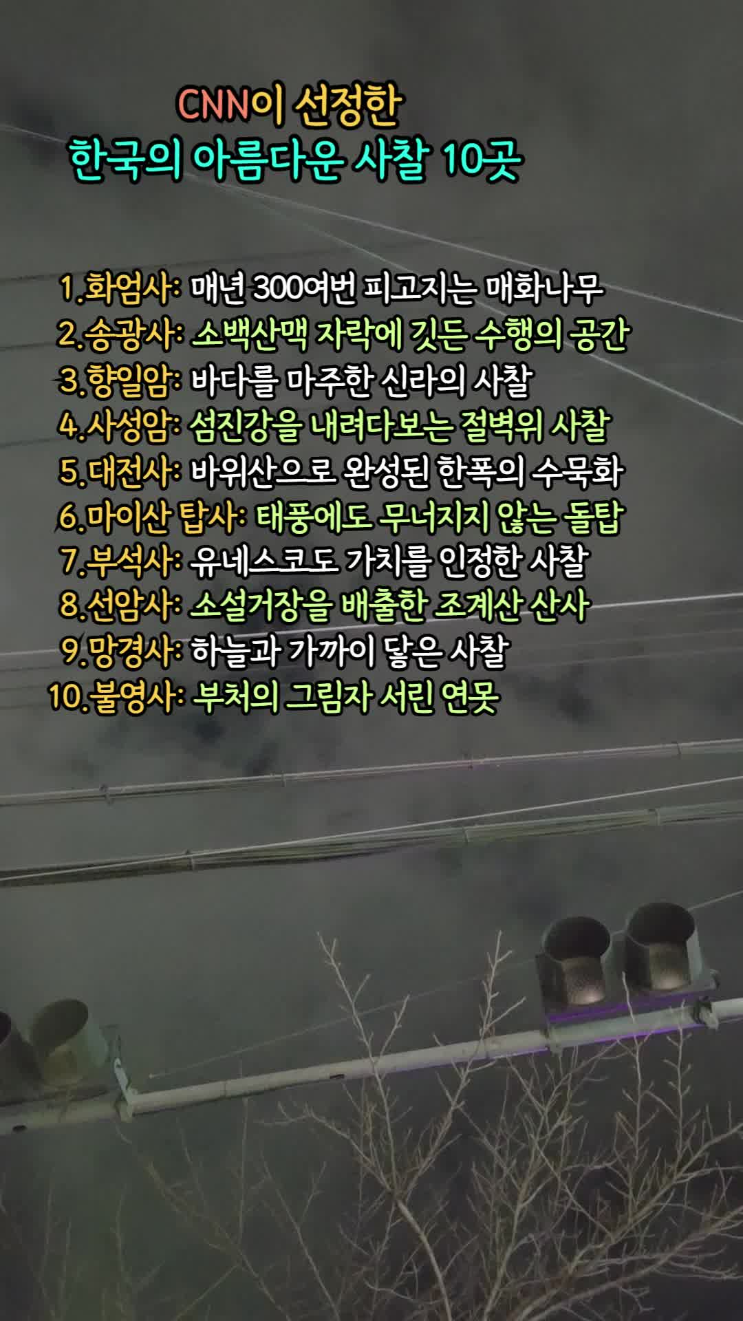 @트로트 황금시대