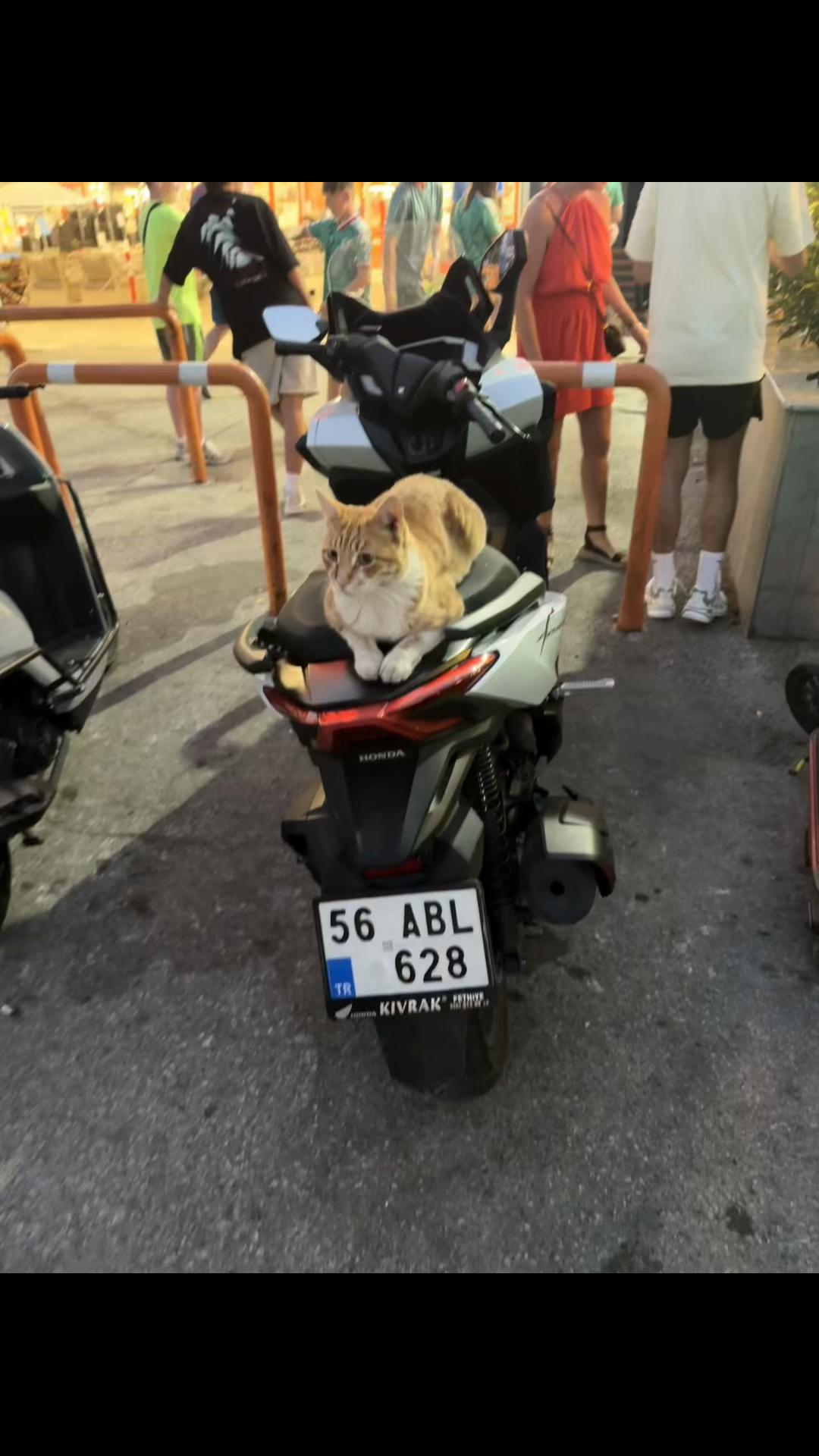 @𝑆𝑜𝑛𝑦𝑎