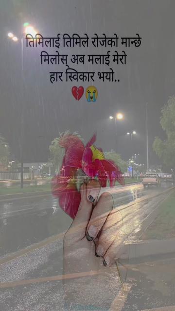 @R Dhakal ( no coins )