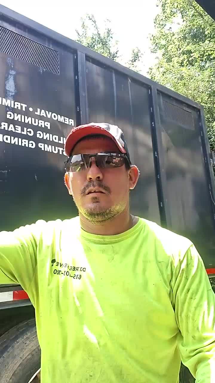 @lobo solitario 100% chingon