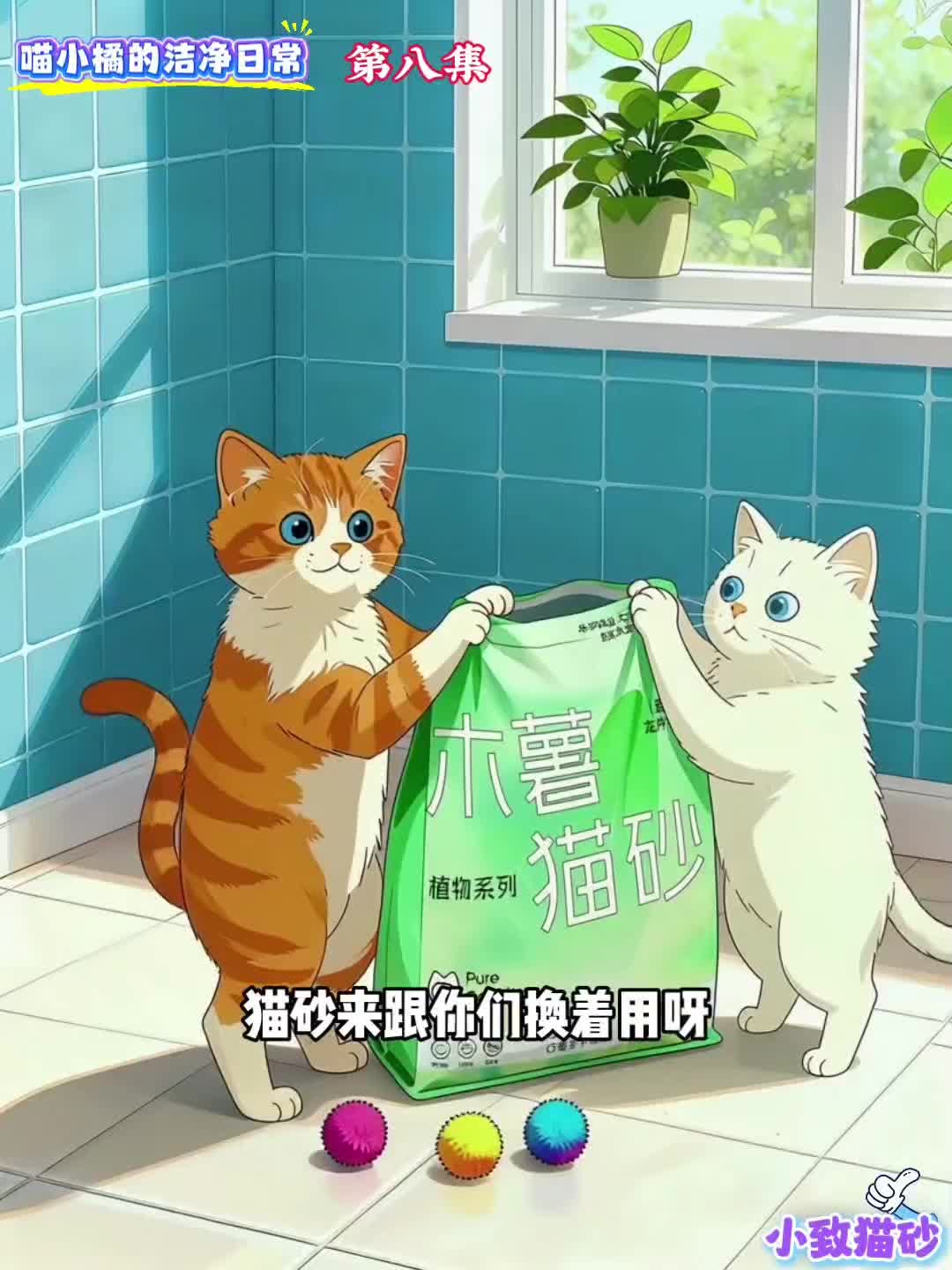 @小致猫砂国内外招代理商