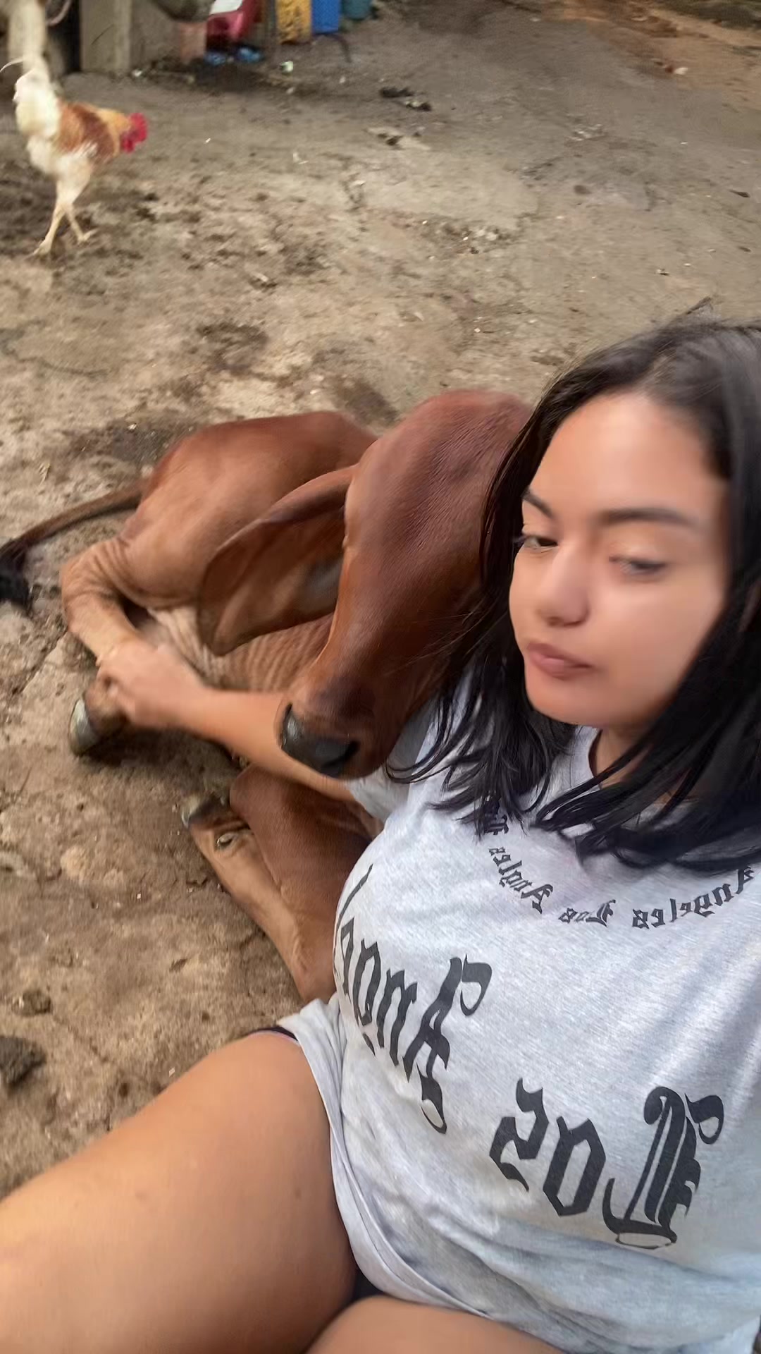 @la ganadera