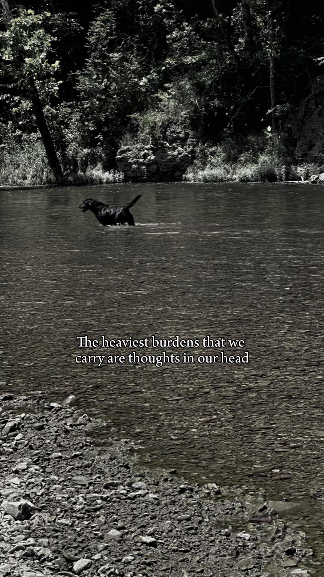@A Drowning Mermaid