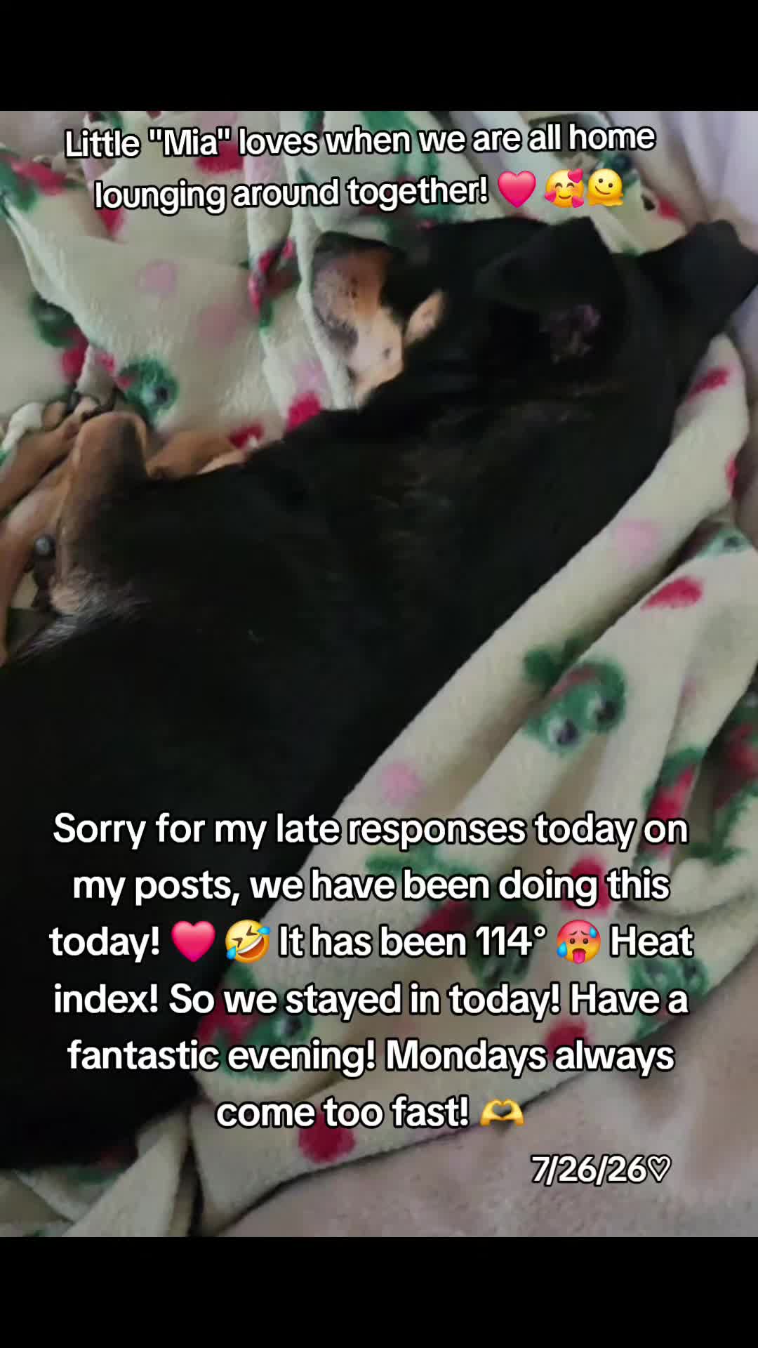 @PJMissouriGirl 🇺🇸❌️