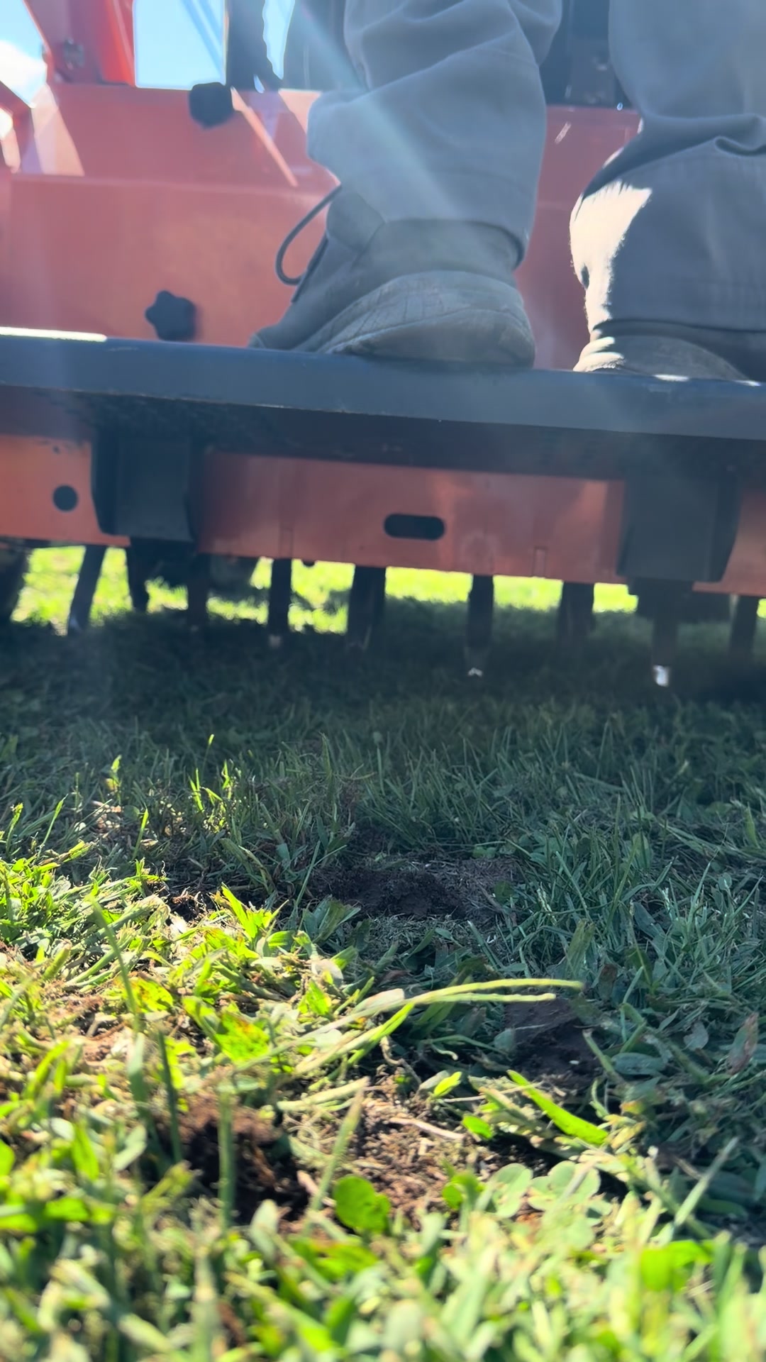 @Baileyboyslawn
