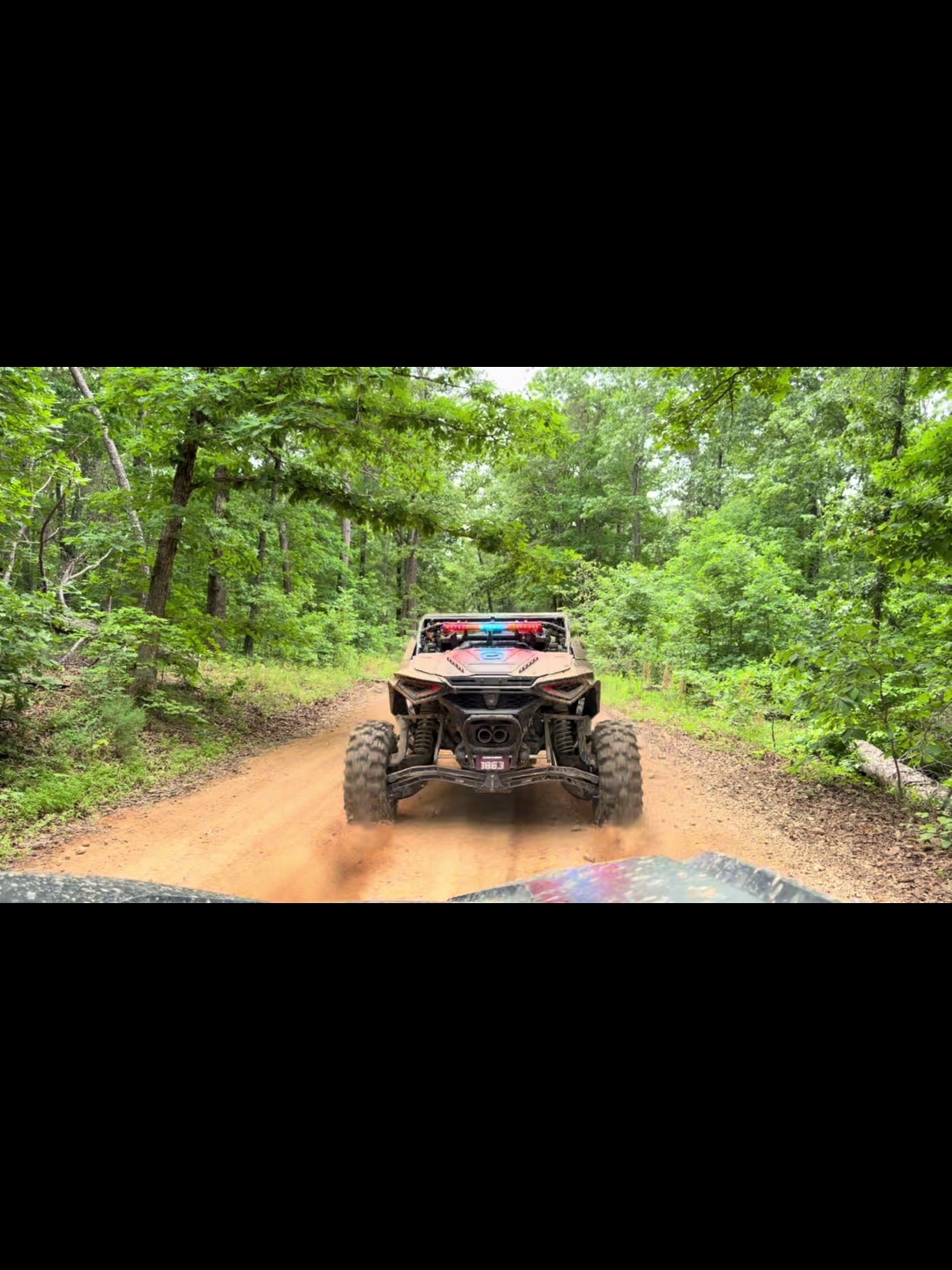 @The Dirts and a R
