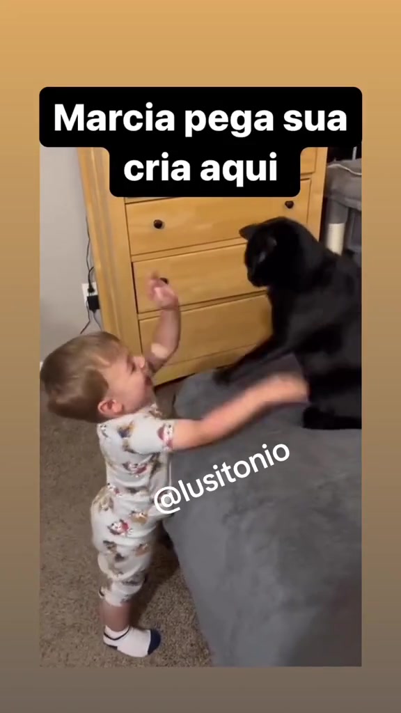 @Lusitonio Machado Do