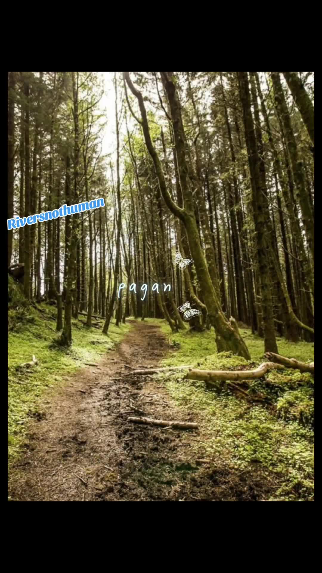 @𓃦𝕽𝖎𝖛𝖊𝖗𓃥