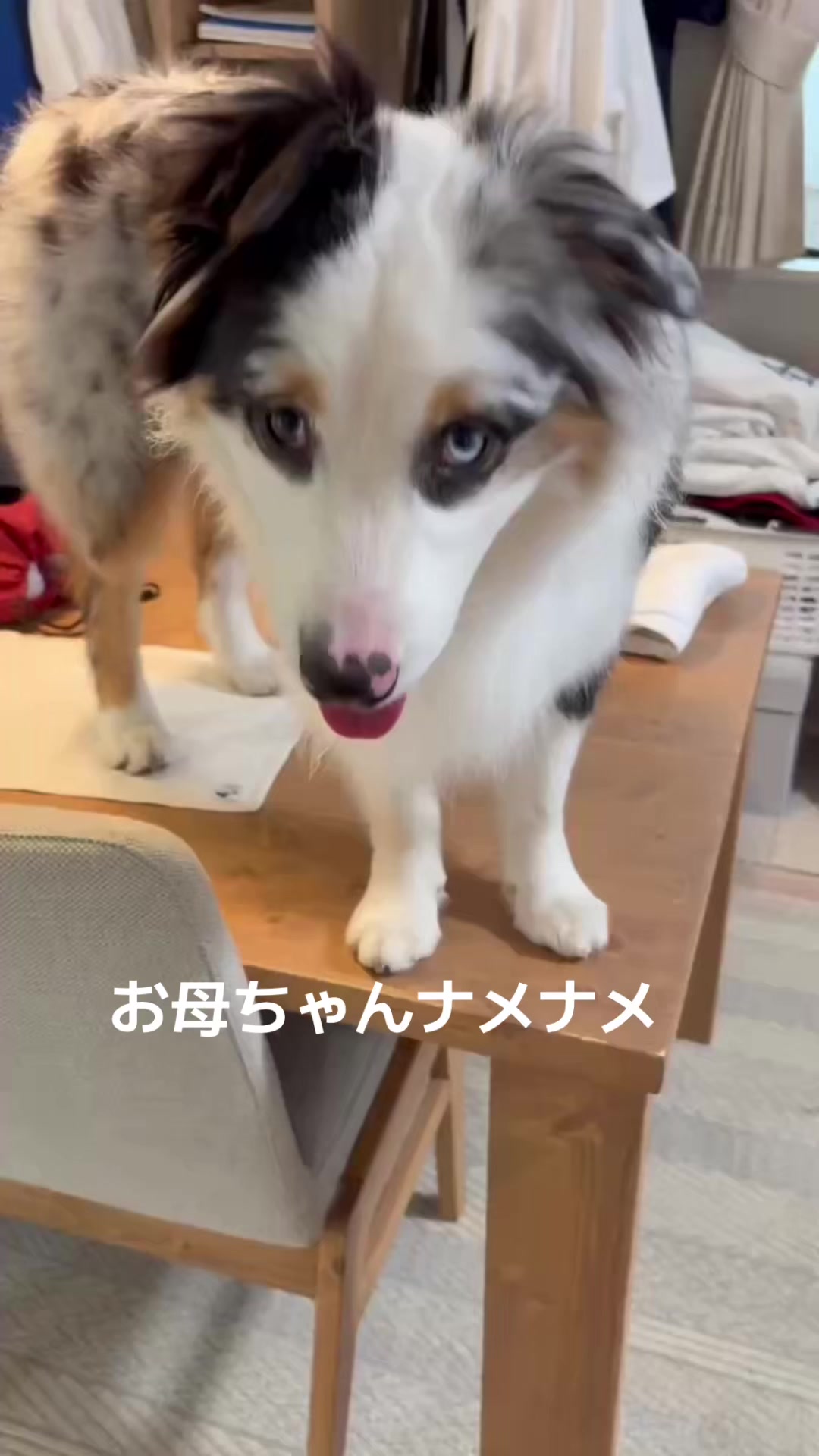 @サン&タマ