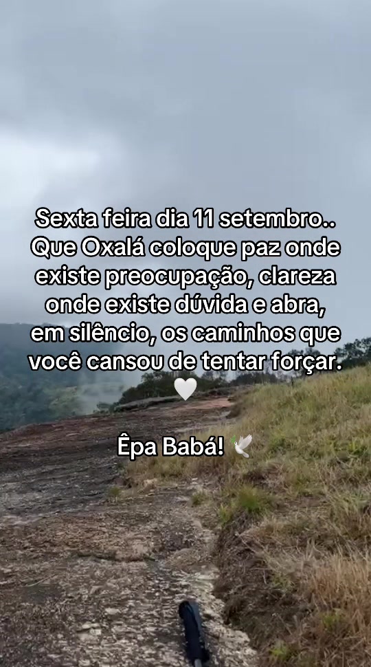 @Maria Padilha