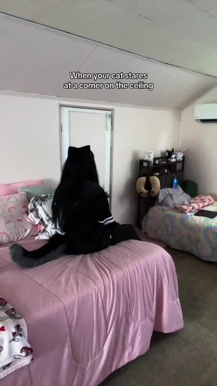 @kitty.alpine
