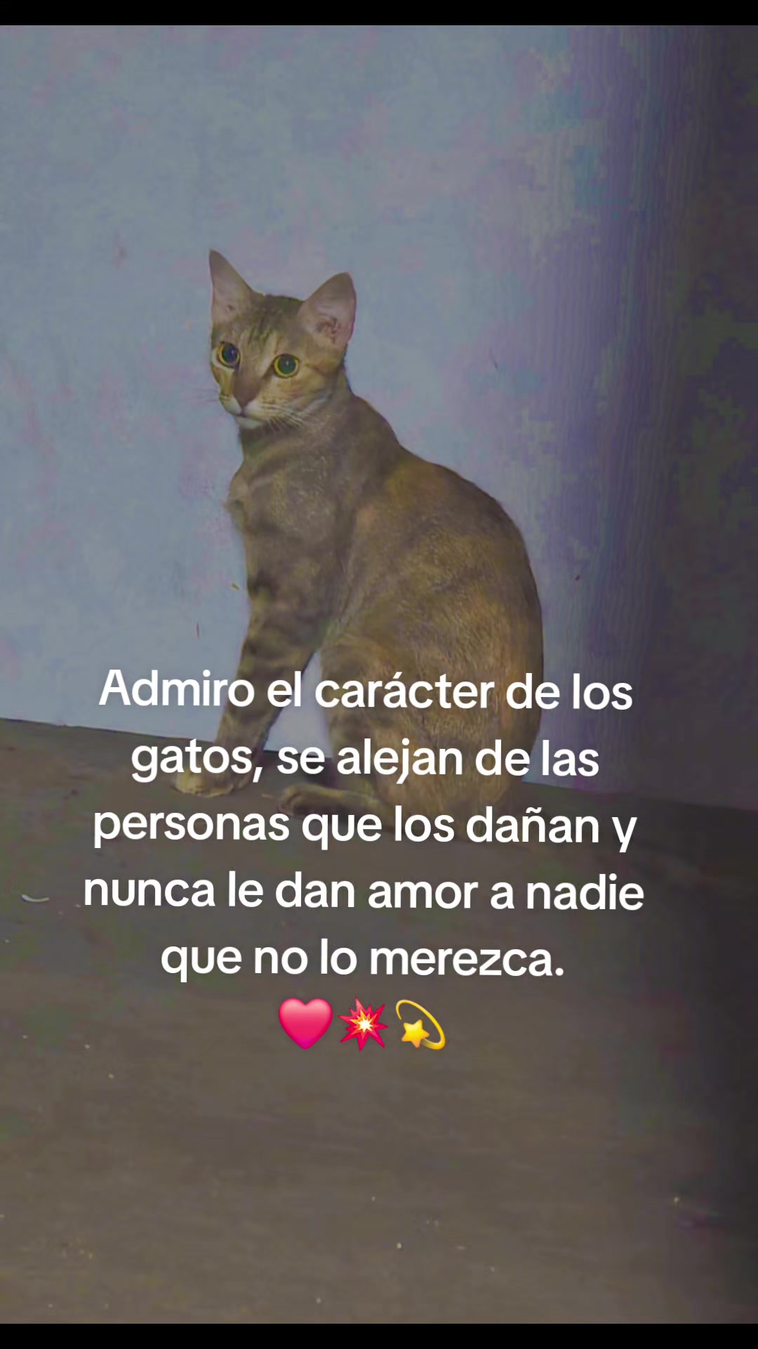 @Maravillosa.Divina