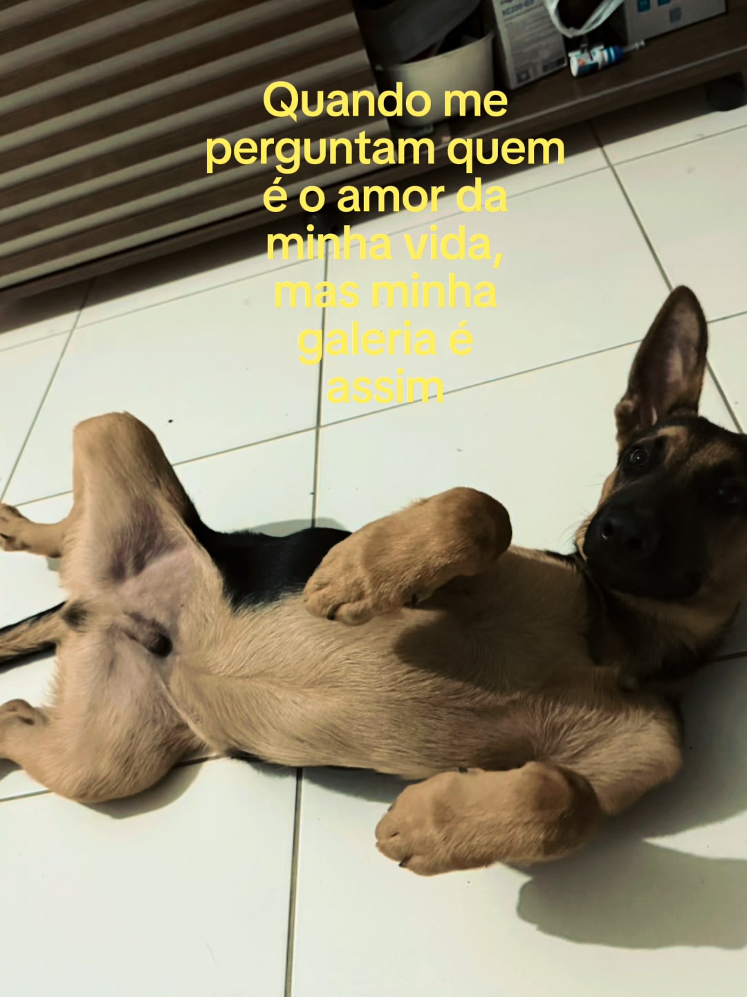 @Verônica Correia