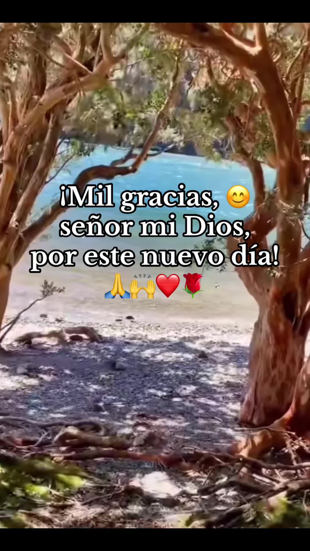 @alabanzasclasicas❤️🥰