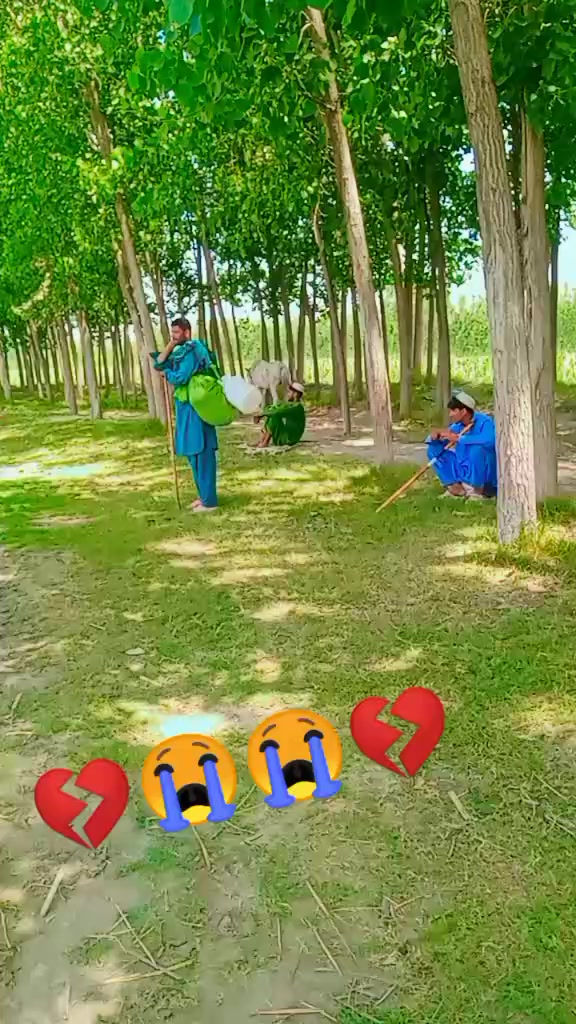 @Umarjan